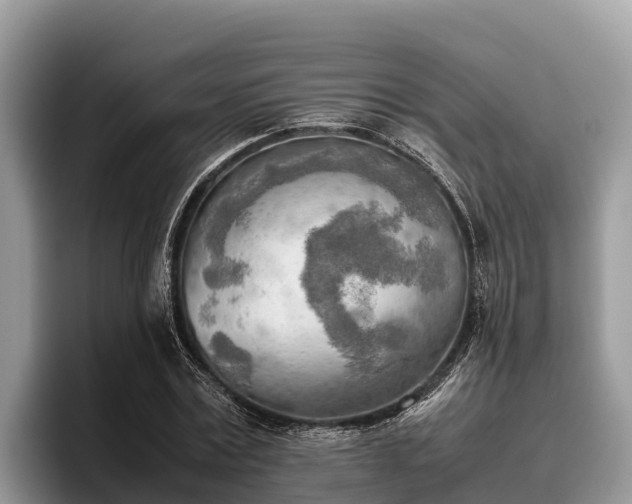 X0000095890779200801181225