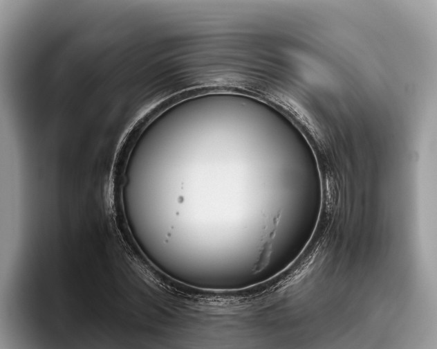 X0000095890780200801181225