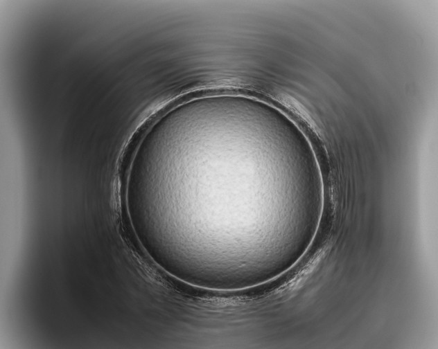 X0000095890781200801181225