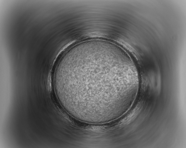 X0000095890782200801181225