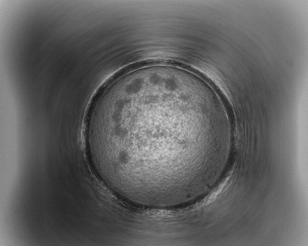 X0000095890783200801181225