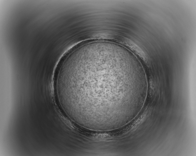 X0000095890784200801181225