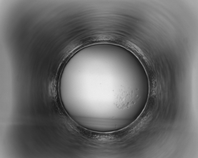 X0000095890786200801181225