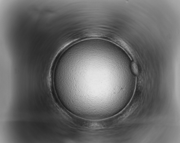 X0000095890787200801181225