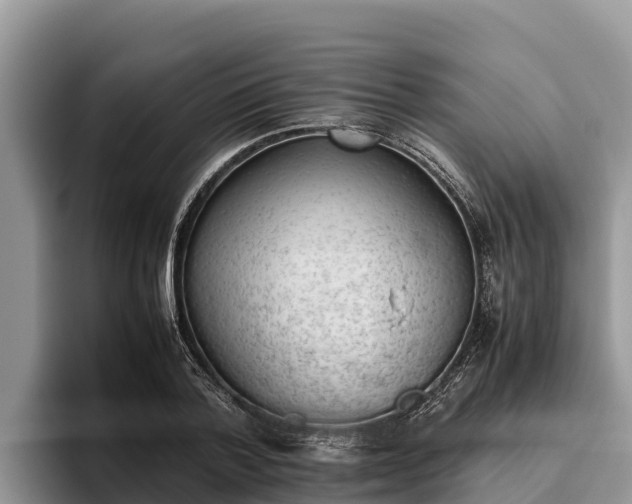 X0000095890788200801181225