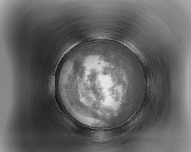 X0000095890790200801181225