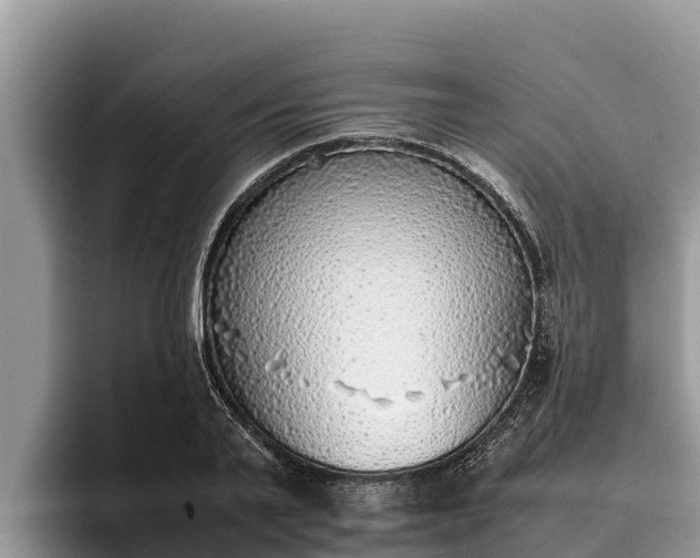 X0000095890791200801181225