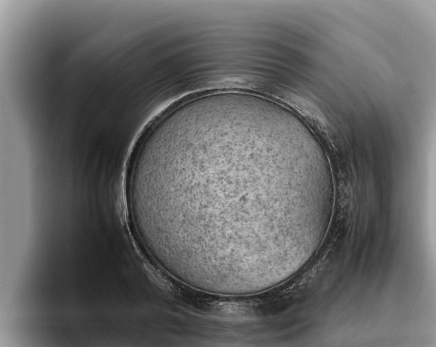 X0000095890792200801181225