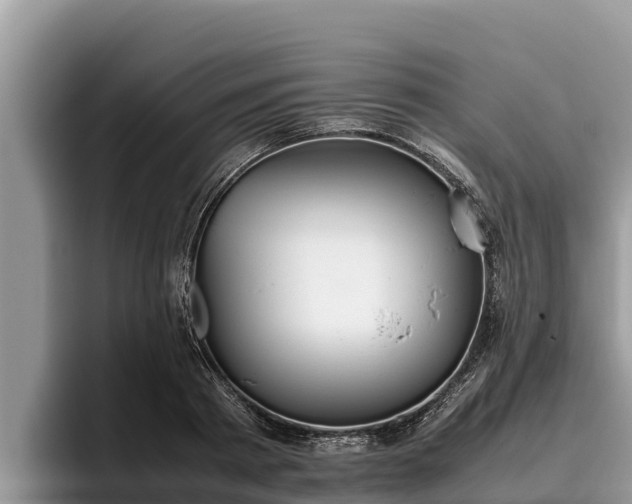 X0000095890793200801181224