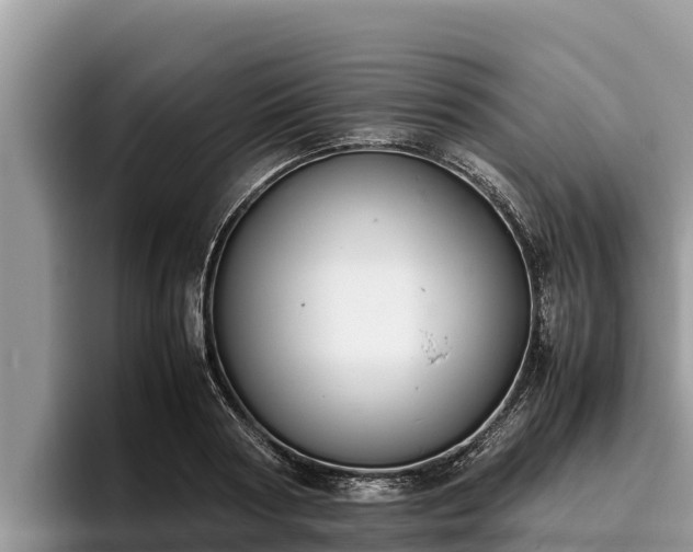 X0000095890794200801181224