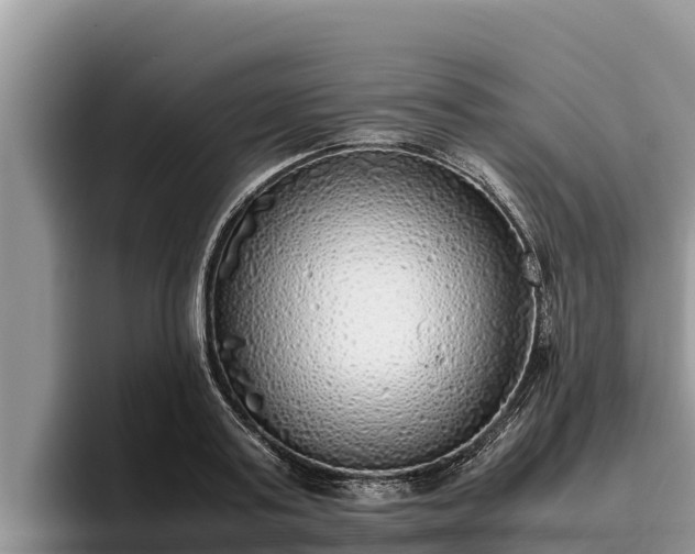 X0000095890795200801181224