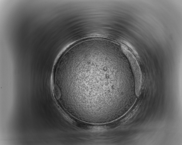 X0000095890796200801181224