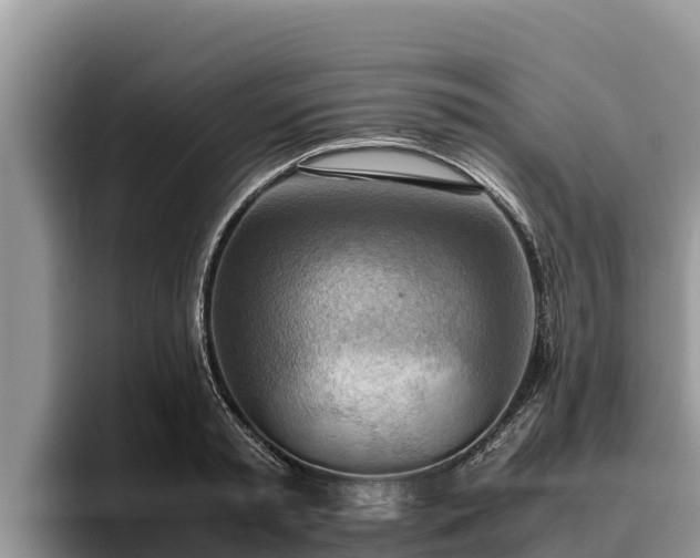 X0000095890797200801181224