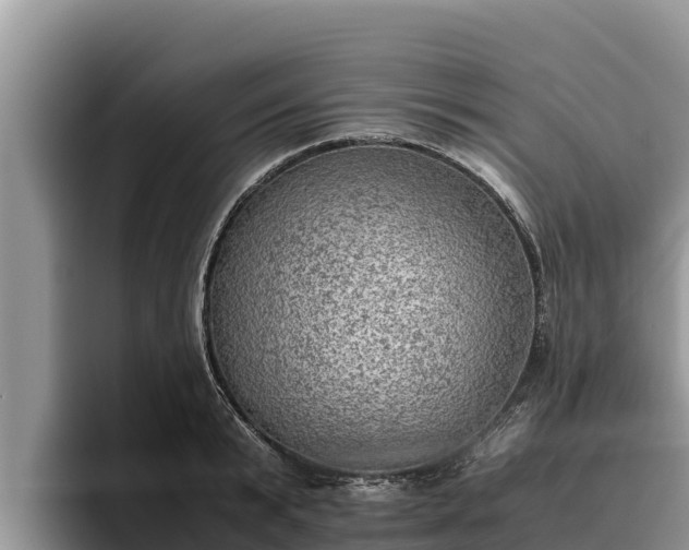 X0000095890799200801181224
