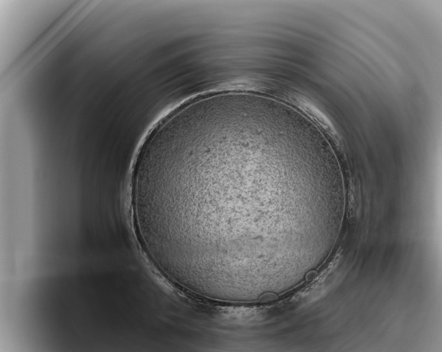 X0000095890800200801181224