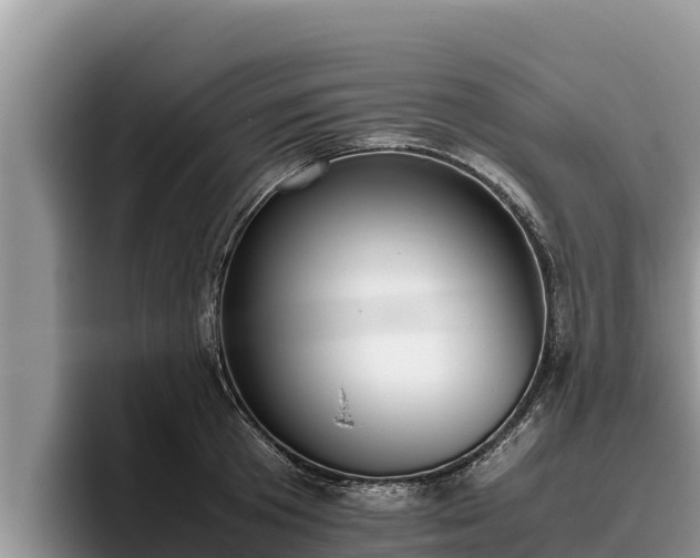 X0000095890801200801181224