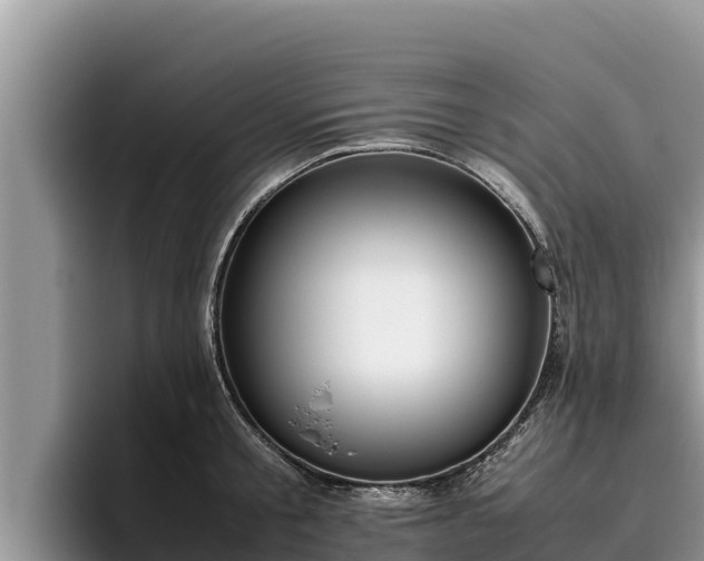 X0000095890805200801181224