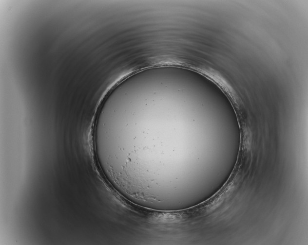 X0000095890806200801181224