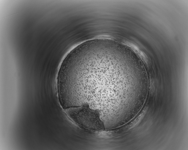 X0000095890808200801181224