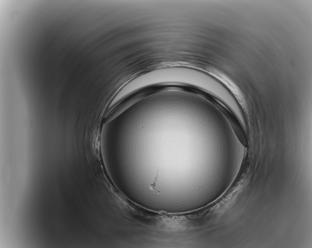 X0000095890809200801181224
