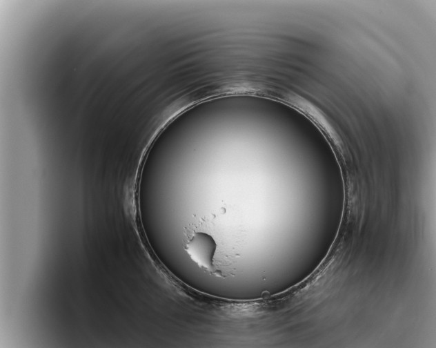 X0000095890810200801181224