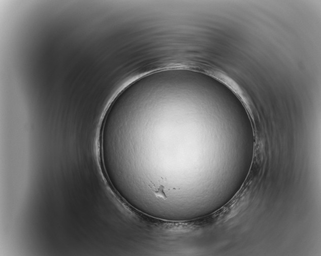X0000095890811200801181224