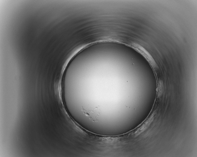 X0000095890812200801181224