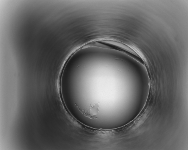 X0000095890813200801181224