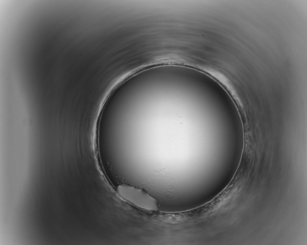 X0000095890815200801181224