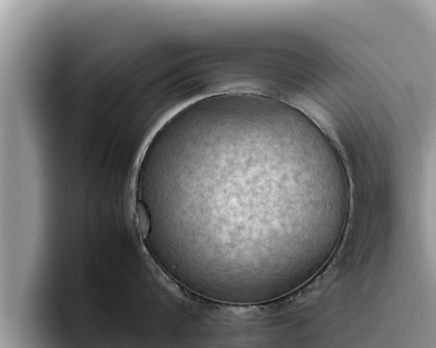 X0000095890816200801181224
