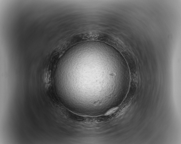 X0000095890818200801181224