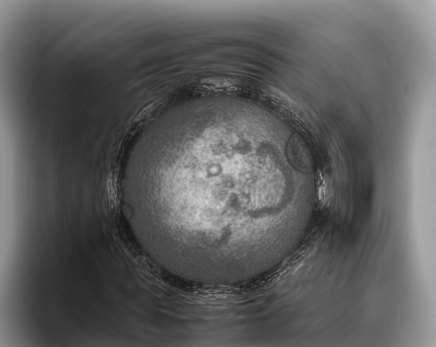 X0000095890819200801181224