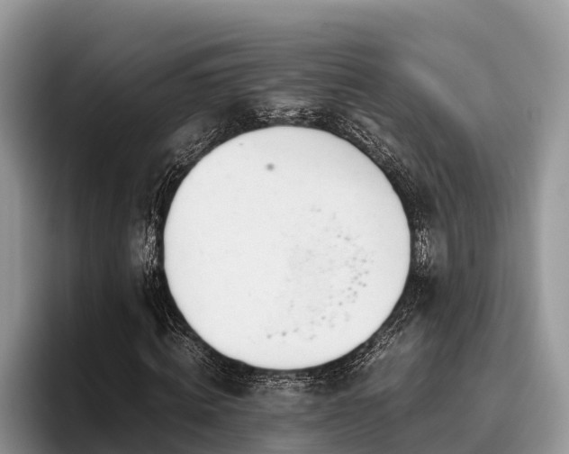 X0000095890820200801181224