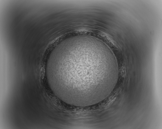 X0000095890821200801181224