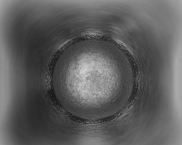 X0000095890822200801181224