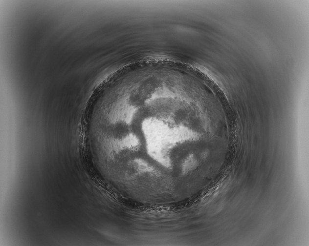 X0000095890823200801181224