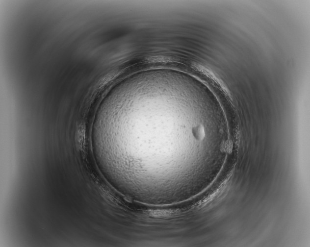 X0000095890825200801181224