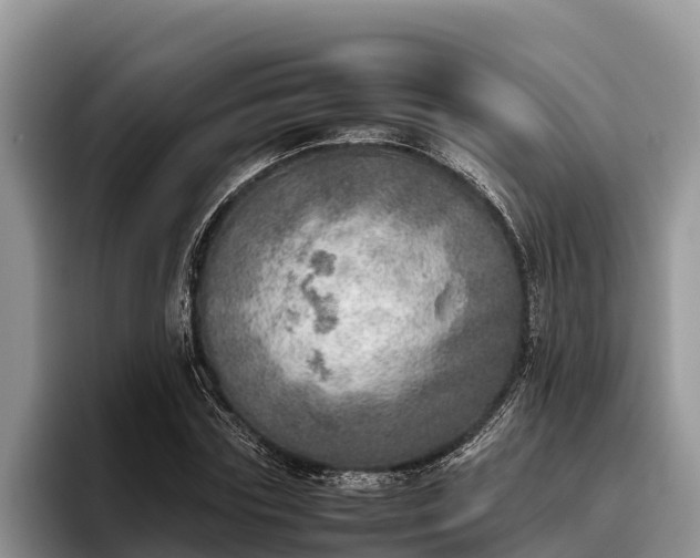 X0000095890827200801181224