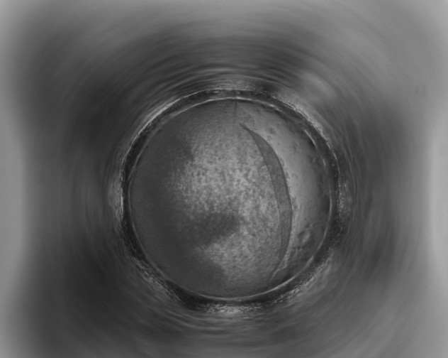 X0000095890829200801181224