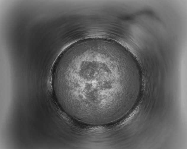 X0000095890830200801181224