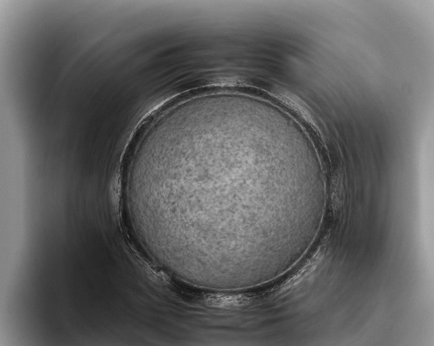 X0000095890831200801181224