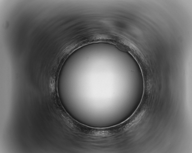 X0000095890833200801181224
