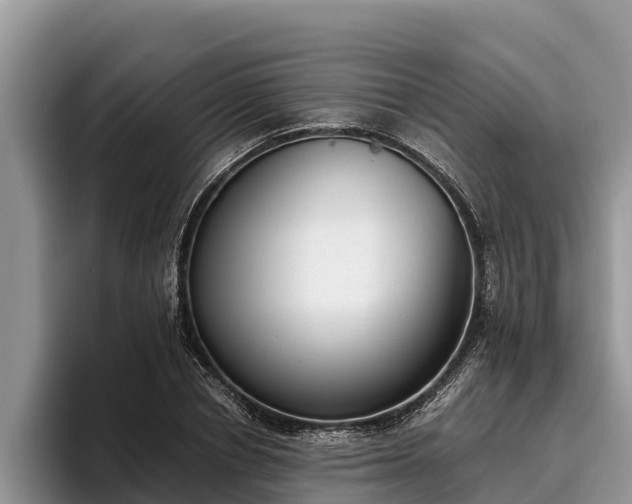 X0000095890834200801181224