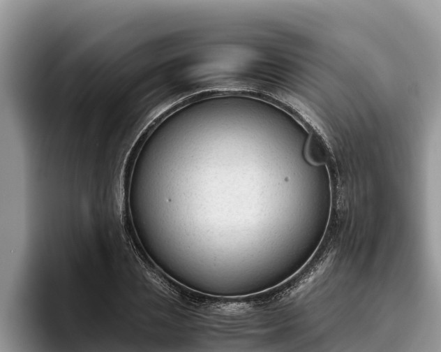 X0000095890837200801181224