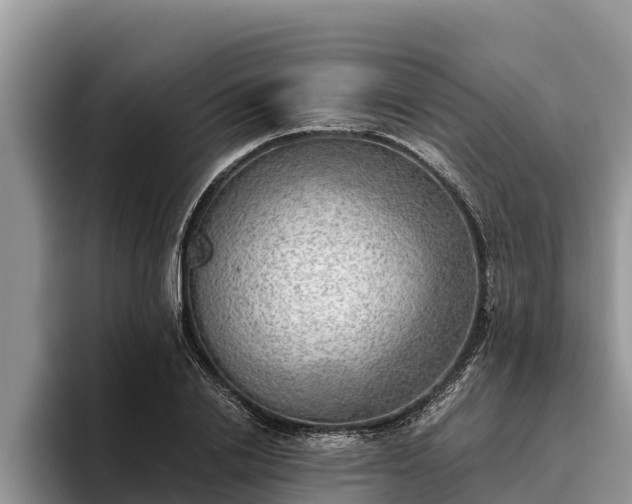X0000095890838200801181224