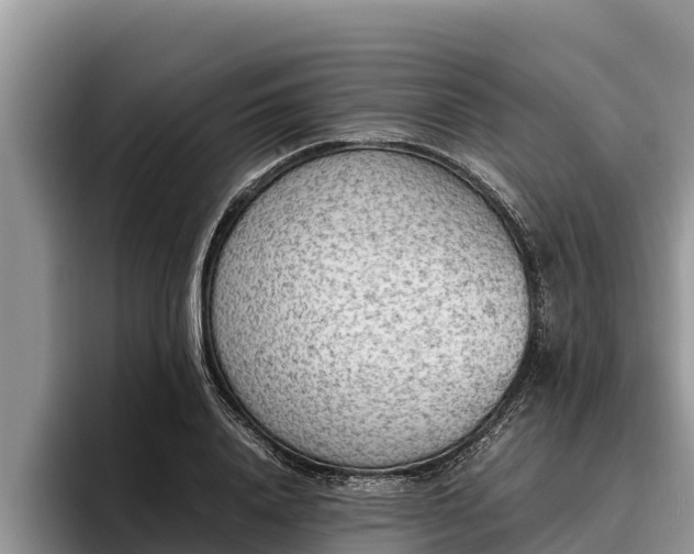 X0000095890840200801181224