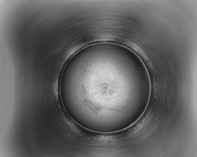 X0000095890842200801181224