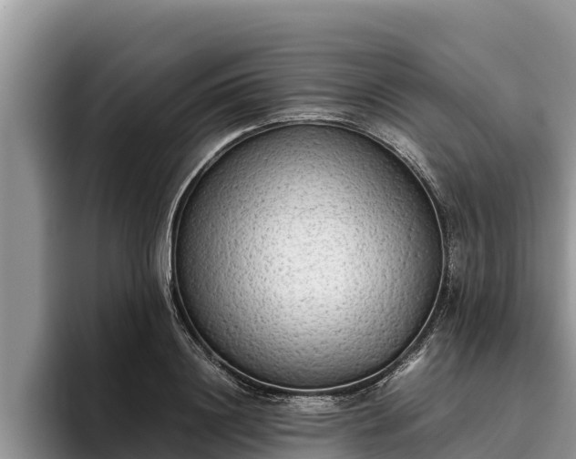 X0000095890844200801181224