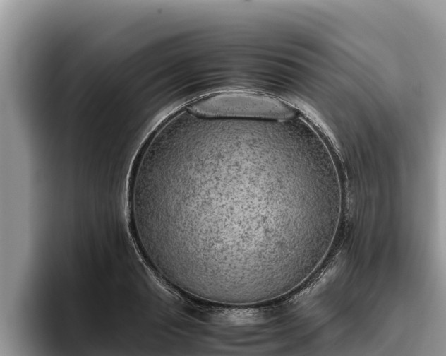 X0000095890845200801181224