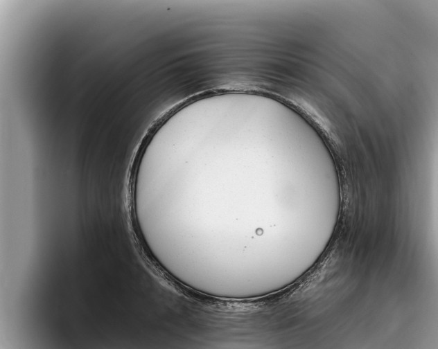 X0000095890848200801181224